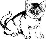 pets0230