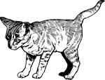 pets0231