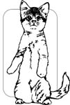 pets0232
