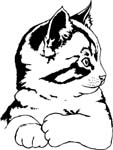 pets0233