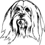 pets0235