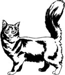 pets0237
