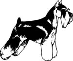 pets0240