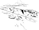 pets0241