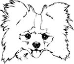 pets0243