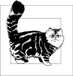 pets0244