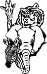 wildlifeafanimal