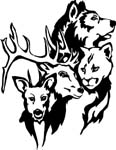wildlifebear&elk