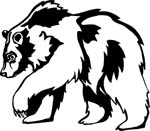 wildlifebear