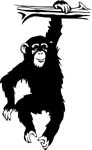 wildlifechimp