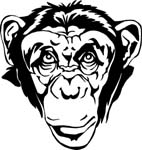 wildlifechimphed