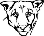 wildlifecougar