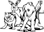 wildlifedog&cat