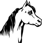 wildlifehorsehed