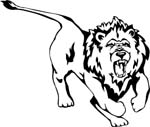 wildlifelion