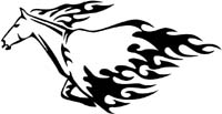 animal-flames-0003b