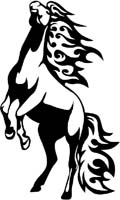 animal-flames-0013b