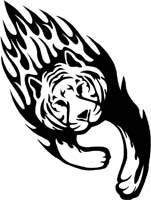 animal-flames-0015b