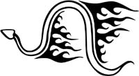 animal-flames-0040b