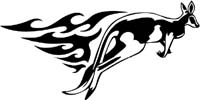 animal-flames-0044b