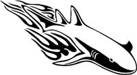 animal-flames-0048b