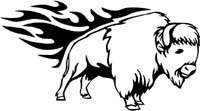 animal-flames-0077b