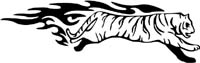 animal-flames-0079b