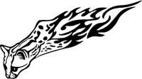 animal-flames-0080b