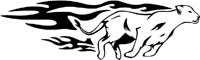 animal-flames-0084b