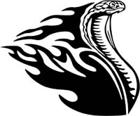 animal-flames-0088b
