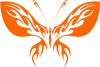 butterflies-bflies_013