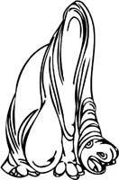 dinosaur-dino_024