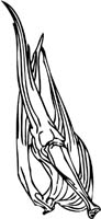 dinosaur-dino_035