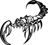 insect-decal-pi_003