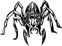 insect-decal-pi_004
