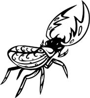 insect-decal-pi_005