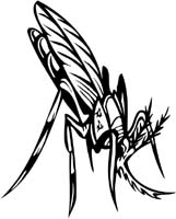 insect-decal-pi_007
