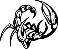 insect-decal-pi_008