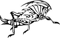insect-decal-pi_009