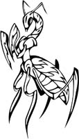 insect-decal-pi_011