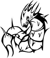 insect-decal-pi_013