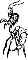 insect-decal-pi_016