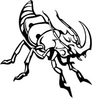 insect-decal-pi_017