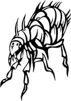 insect-decal-pi_018