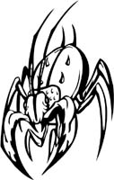 insect-decal-pi_019