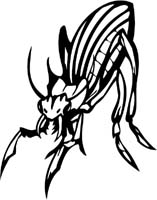 insect-decal-pi_020
