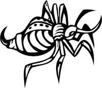 insect-decal-pi_022