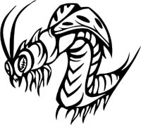 insect-decal-pi_023