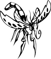 insect-decal-pi_024