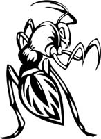 insect-decal-pi_025